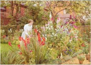 A London Garden In August A London Garden In August