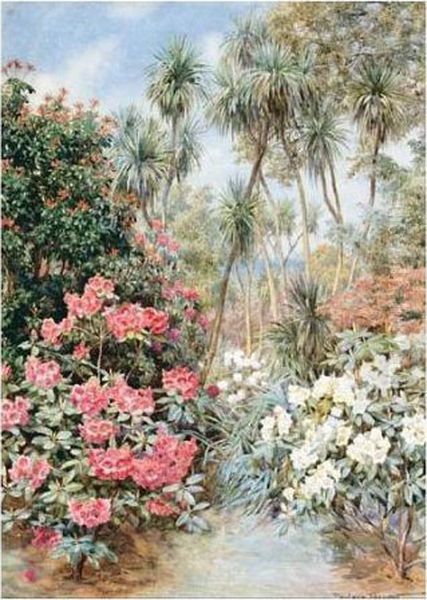 Rhododendrons And Palm Trees - view 1
