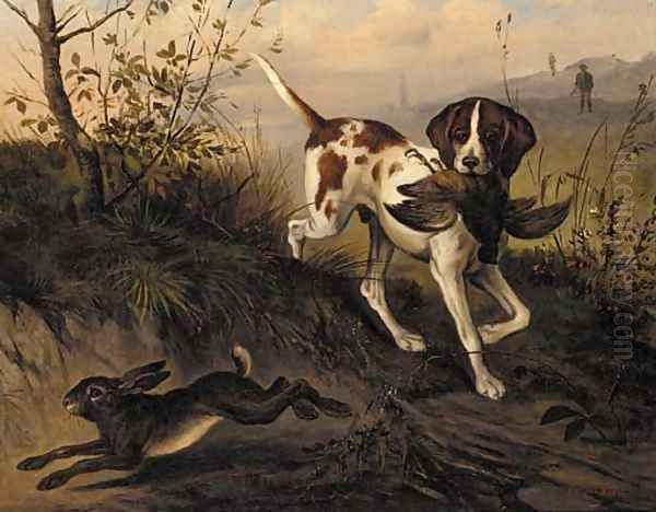 A gun dog with a pheasant chasing a hare - view 1