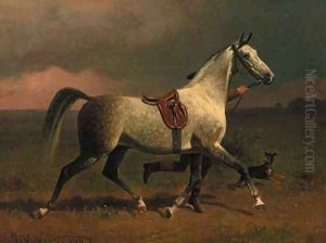 A dappled grey hunter trotting with a groom in a landscape A dappled grey hunter trotting with a groom in a landscape