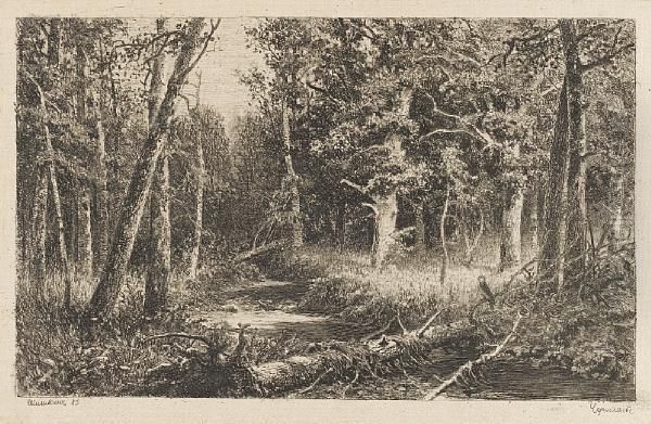 Untitled - view 1