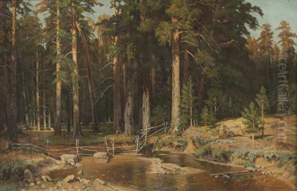 Der Waldsee - view 1
