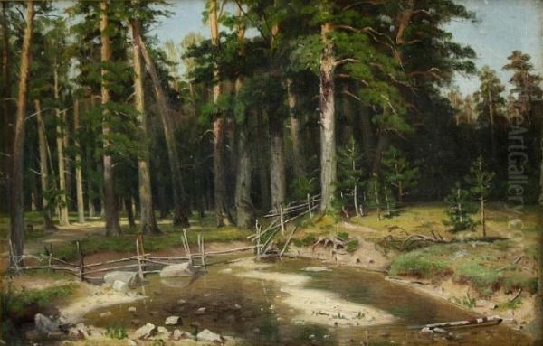 Kiefern-mastenwald In Der Provinz Viatka - view 1