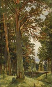 The Clearing by Ivan Shishkin