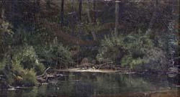 Der Waldsee - view 1