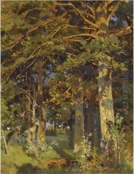Forest Clearing - view 1