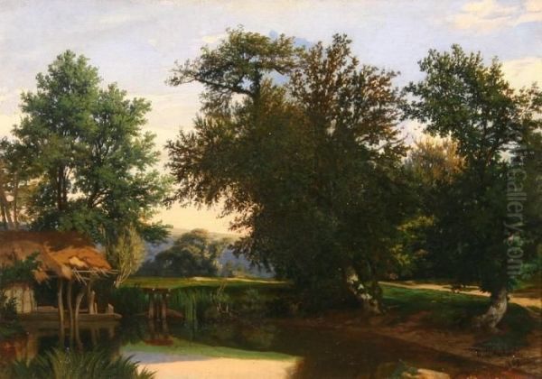 River In The Forest - view 1