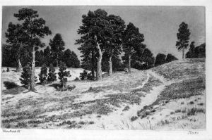 Landschaft Mit Kiefern by Ivan Shishkin