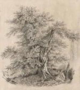 Tree by Ivan Shishkin