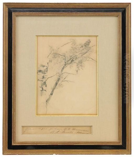Branch Of A Birch Tree - view 1