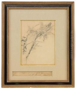 Branch Of A Birch Tree by Ivan Shishkin