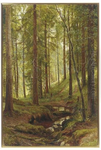 Stream By A Forest Slope - view 1