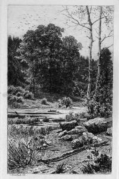 Flusslandschaft Mit Steinigem Ufer - view 1