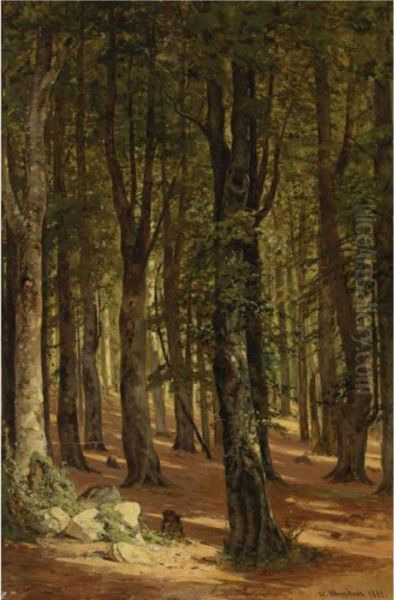 In The Woods - view 1