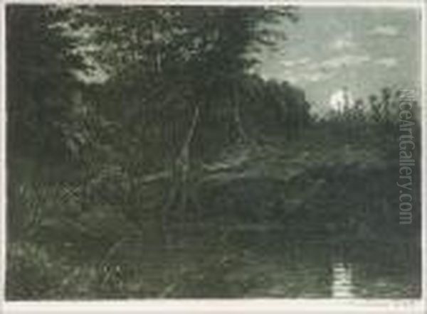Ranta Kuunvalossa. - view 1