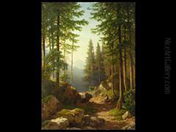 Waldlandschaft - view 1