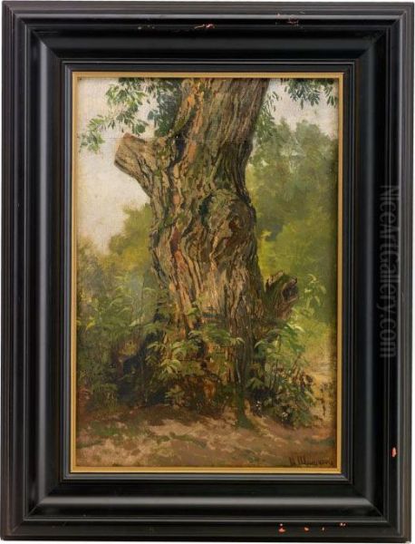 Study Of A Tree Trunk - view 1