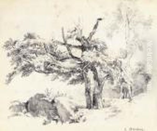 Woodland Study - view 1