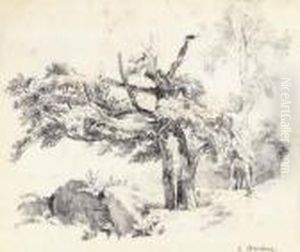 Woodland Study by Ivan Shishkin