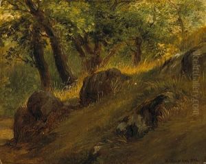 A Study Of A Forest Clearing by Ivan Shishkin