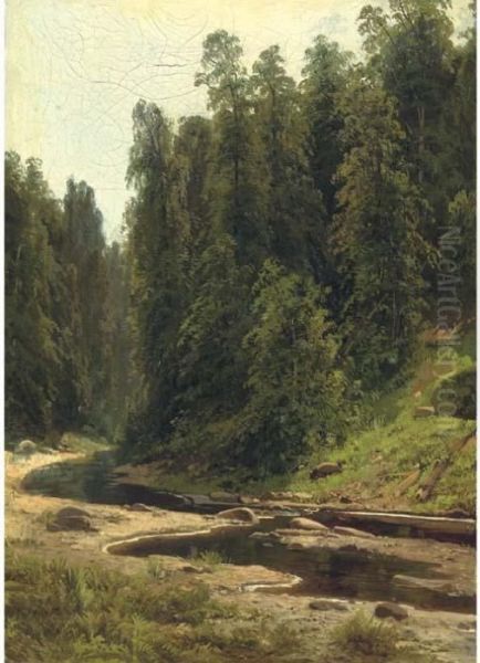 River In The Forest - view 1