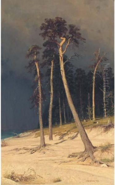 Sandy Shore - view 1