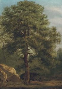 Forest Scene by Ivan Shishkin