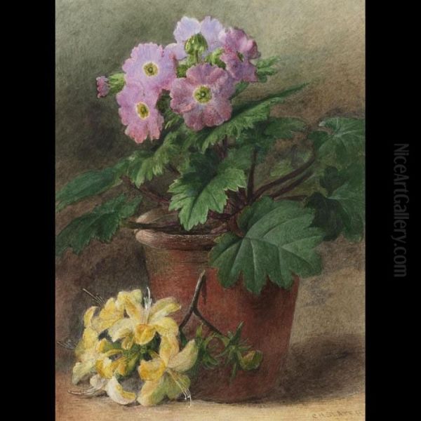 Hardy Geraniums In A Clay Pot With Yellow Lilies - view 1
