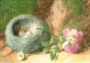 Still Lifes Of A Birds Nest On A Mossy Bank A Pair