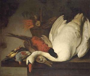 A dead swan by Elias Vonck