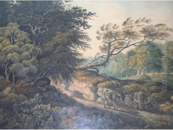 Donkeys On A Wooded Path - view 1