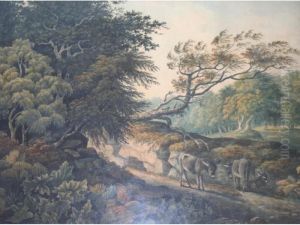 Donkeys On A Wooded Path
