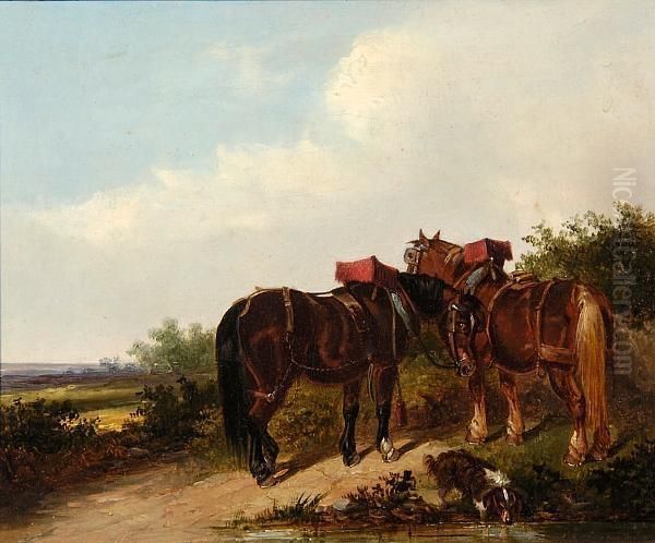 Cart Horses Resting - view 1