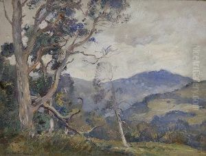 An Upland Landscape