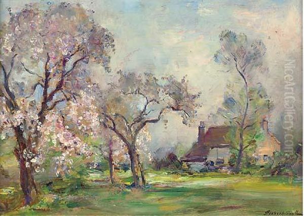 Langford Mill, Maldon, Essex; The Orchard In Blossom - view 1