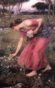 Narcissus 1912