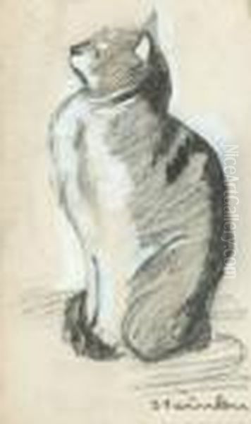 Le Chat - view 1