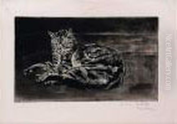 Chat Sur Le Plancher. 1902. (e. De Crauzat 88 Iie Etat/iv) 152 X 254. - view 1
