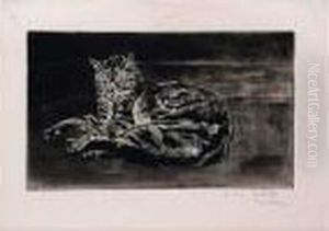 Chat Sur Le Plancher. 1902. (e. De Crauzat 88 Iie Etat/iv) 152 X 254.