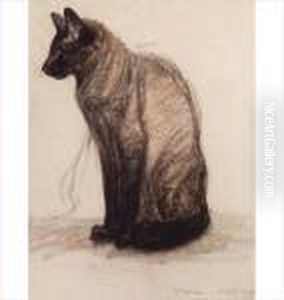 Le Chat Manou - view 1