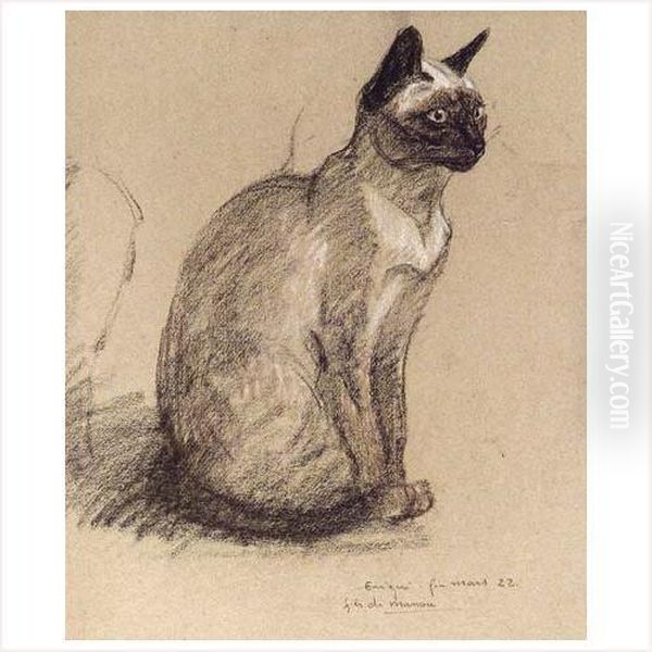 Etude De Chat - view 1