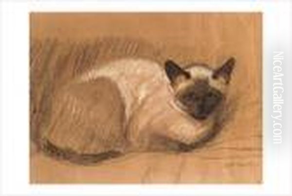 Chat - view 1