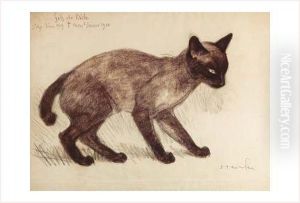 Chat, Fils De ' Dide ' Chat, Fils De ' Dide '