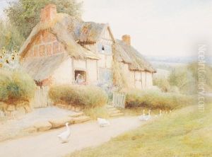 Geese On A Country Lane