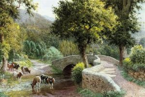 Cows Watering By Dunstar Bridge, Somerset