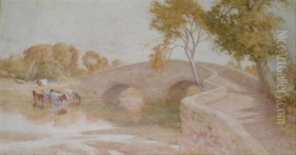 Cattle Watering By A Bridge - view 1