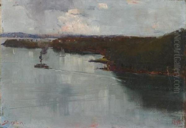 Sydney Harbour 1895 - view 1