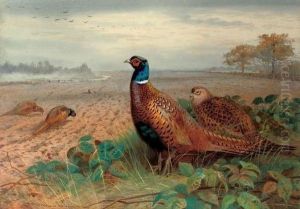 Cock And Hen Pheasants In A Ploughed Field, A Skein Of Geese Overhead