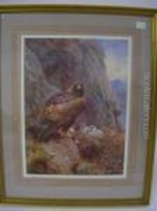 Golden Eagle by Archibald Thorburn