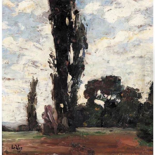 Poplars - view 1